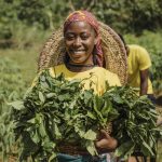 campagne-femme-tenant-des-feuilles-de-plantes